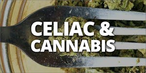 Celiac Disease And Cannabis: Is Help At Hand?