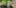 dispensary Worlds Most Famous Reggae Name Launches Own Weed Line