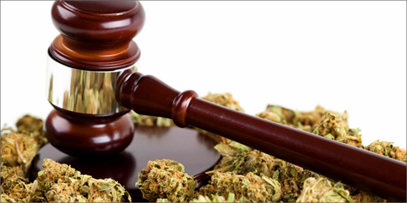 legal 21 Shocking Weed Facts That Will Make You Say OMG
