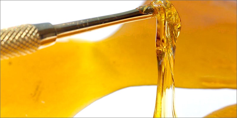 liquid 1 Guy Busted With 26 Kilos Of Weed. His Excuse Was Priceless.