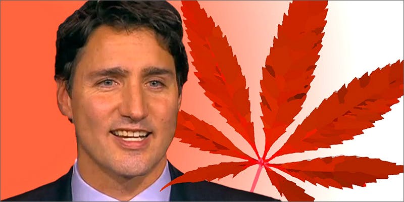 pm Guy Busted With 26 Kilos Of Weed. His Excuse Was Priceless.