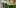 recipes Worlds Most Famous Reggae Name Launches Own Weed Line