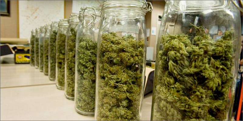 storage Should You Freeze Your Weed?