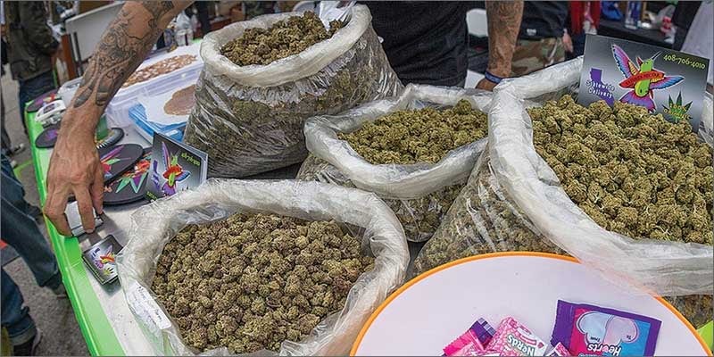 cannabis cup bags of bud Fines Instead Of Jail: This City Decriminalized Marijuana Possession
