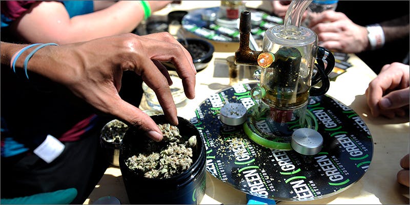 cannabis cup Is it All Over for the Cannabis Cup 2016?