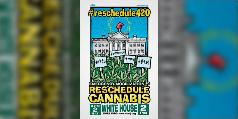cannabis demo ci 3 Will You Be Part Of Massive White House Cannabis Demonstration?