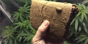 Watch This To See If You’re Smoking Top Grade Hash