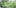 grow hack ci 1 Restalk: Recycling Cannabis Waste Into Tree Free Paper Products