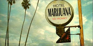 We All Want to Stay in This Cannabis Hotel!