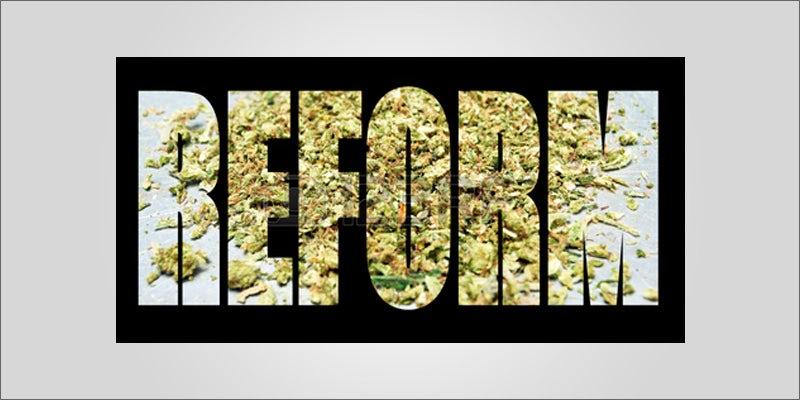 new zealand follow ci 2 Medical Trials For CBD & Epilepsy Have Started In New Zealand