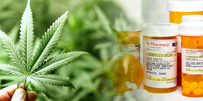 plant vs pills This Famous D.A.R.E. Cop Has Changed His Mind About Legalizing Marijuana