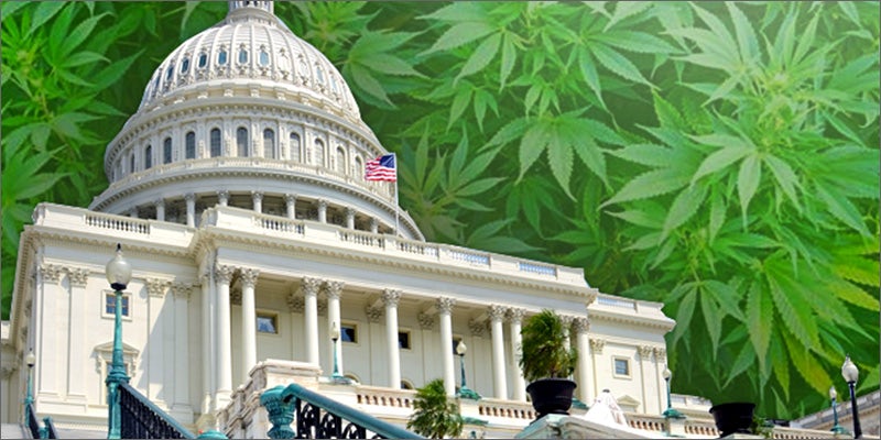 study1 What That Supreme Court Decision Means for the Future of Legal Weed
