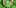 terpenes 1 Restalk: Recycling Cannabis Waste Into Tree Free Paper Products