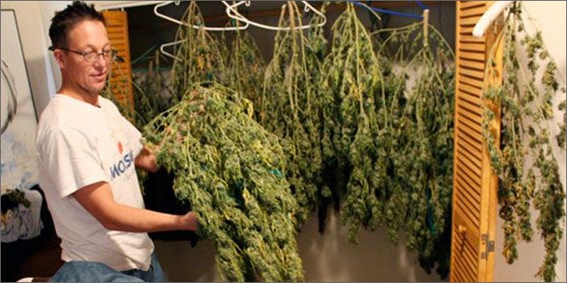 ug5 What $20 Worth Of Weed Looks Like In Uruguay