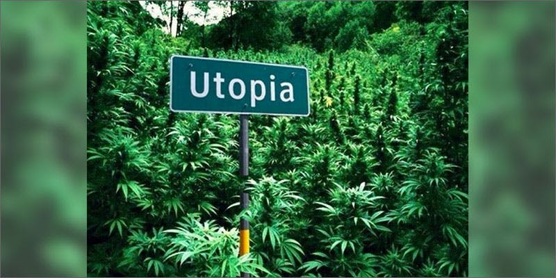 utopia The Definitive Guide To Growing Organic Marijuana