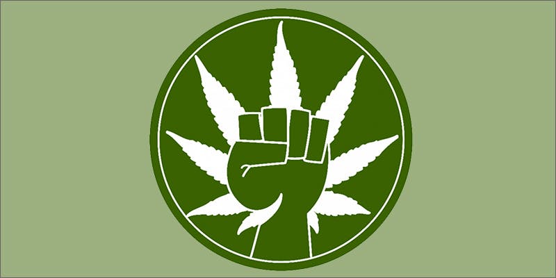 weed power Martyrs For Freedom: The Courageous Patients Striving for Survival