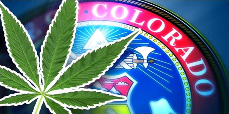 wod2 Legalize Cannabis, Cartels Stop Growing