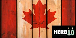 Top 10 Reasons Why Canada Loves Cannabis