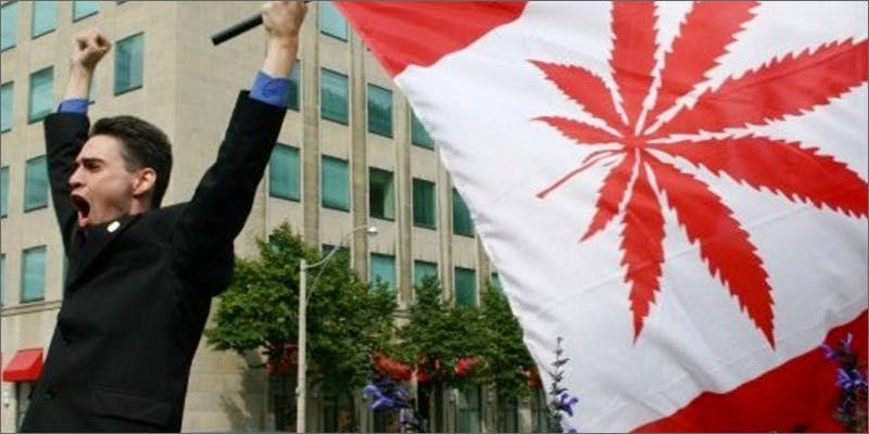 3 10 Why Has The Canadian Health Minister Created A Cannabis Task Force?