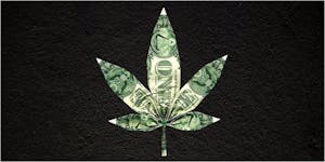 Talk About A Leap Year: Colorado Marijuana Revenue Reaches New High