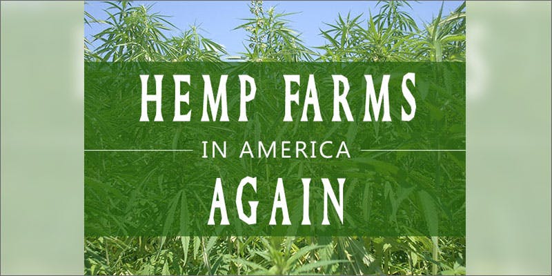 PA hemp cultivation american again Looking Inside Colombia’s “Lost City Of Marijuana”
