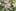 The Ultimate Guide on How to Decarb Weed How to Decarb Weed for the Perfect Edibles