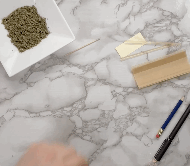 TulipJointGif How To Roll A Dutch Tulip Joint