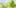 Use Your Stems 8 10 Creative Hacks For Reusing Your Marijuana Stems