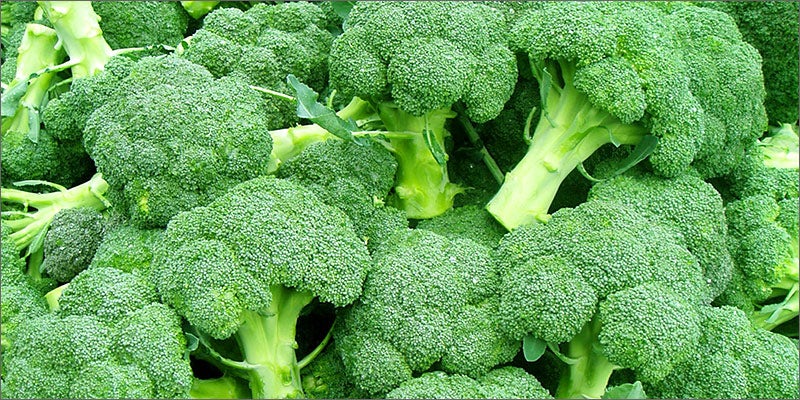 broccoli 8 Foods That Will Improve Your 420 Experience