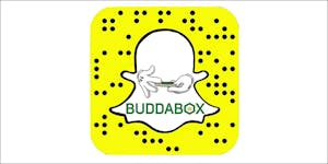 Buddabox: All You Need If You’re Truly Dedicated To Concentrates