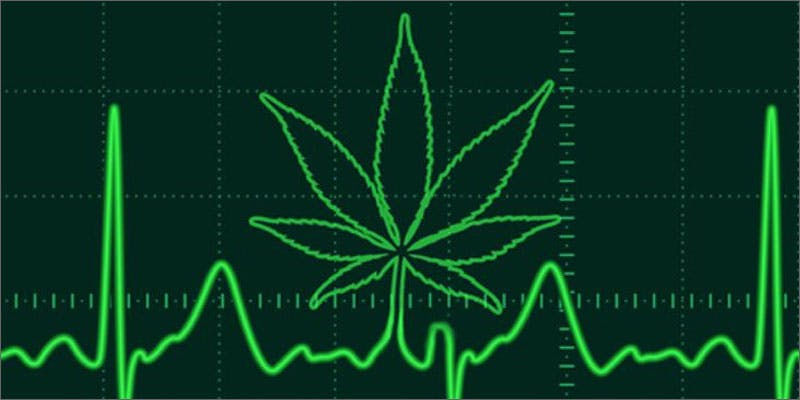 cannabis affects processing emotions heartbeat leaf Study Reveals Shocking Link Between Cannabis Use And Emotions