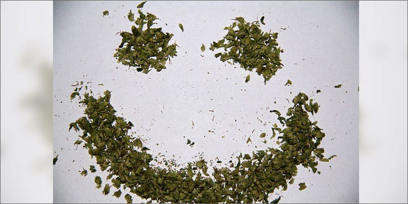cannabis affects processing emotions weed smiley Study Reveals Shocking Link Between Cannabis Use And Emotions