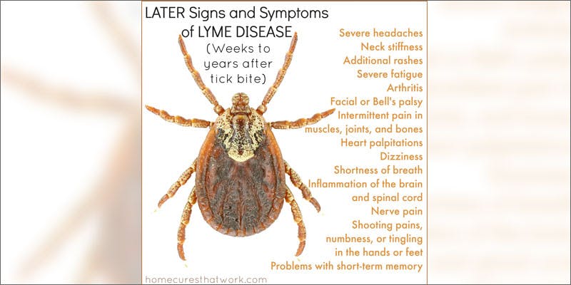 cannabis lymes disease symptoms Medical Marijuana Brings Relief To Yet Another Serious Condition