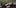 childs brain charlottes web 6 Year Old Cut From Basketball Team Because His Dad Smelled Like Weed