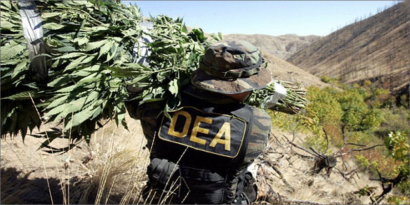 former dea supports cannabis haul Former DEA Agent Does U Turn, Now Supports Legalized Marijuana