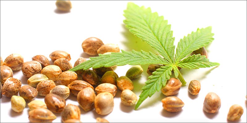 hempseeds 8 Foods That Will Improve Your 420 Experience