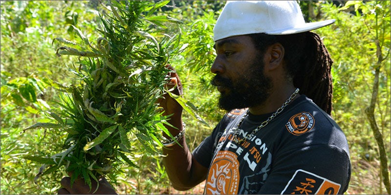jl6 Is Jamaica Going to Legalize Cannabis & Become A Republic?