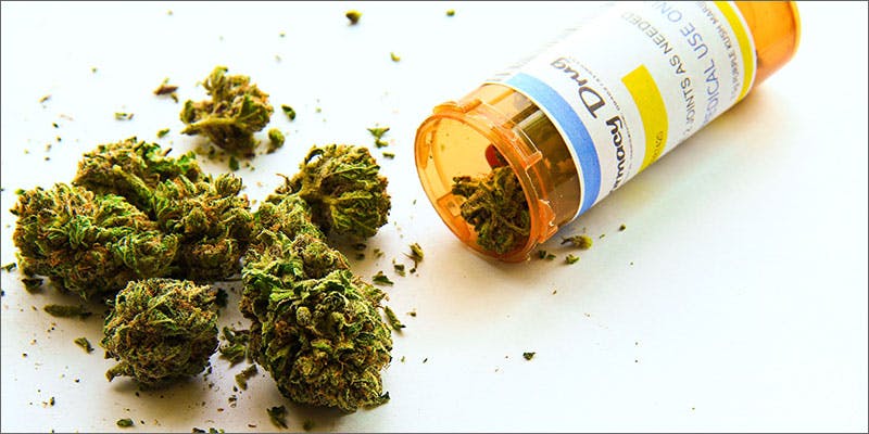 maine cannabis opioid treatment bud pharmaceutical bottle Will This State Be First To Approve Medical Marijuana To Treat Addiction?