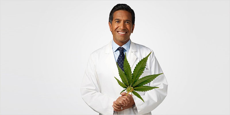 medical marijuana revolution 1 Watch: Its Time for a Medical Marijuana Revolution