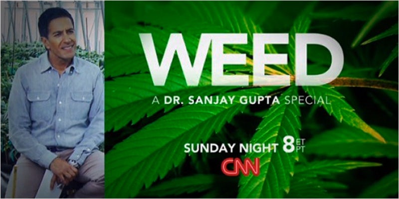 medical marijuana revolution 2 Watch: Its Time for a Medical Marijuana Revolution