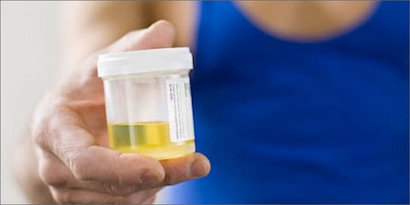 how to clean urine for drug test