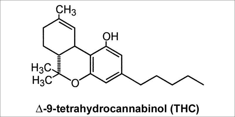 pass drug test thc molecule How To Flush Marijuana Out Of Your System