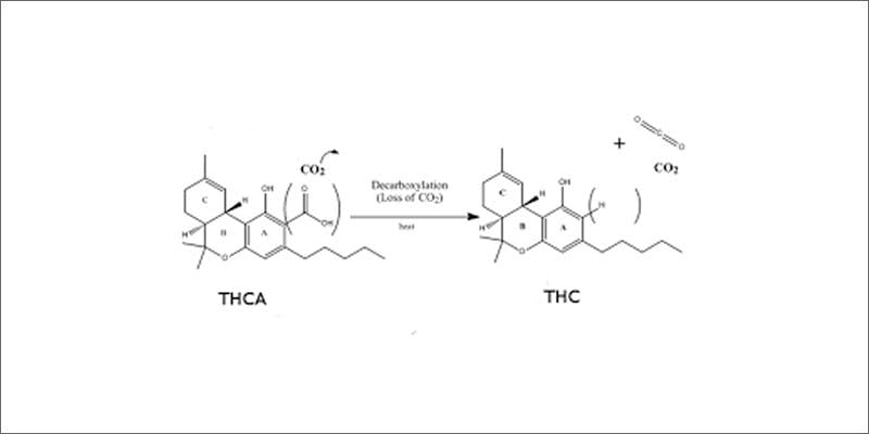 simply decarb cannabis science 1 CannaCaps By D.S. & FITZ Deliver Your Perfect Dosage