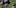 sv1 This CEO Smoked Weed For 50 Years And Supports Cannabis Legalization