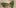 touchofglass 20 2 6 Year Old Cut From Basketball Team Because His Dad Smelled Like Weed