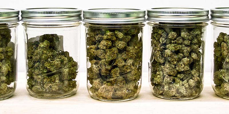 ug4 Uruguay Goverment Will Supply Recreational Cannabis For $1 A Gram