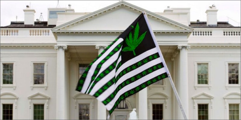 whbuds1 Breaking: This Landmark Bill Could Legalize Cannabis In The United States
