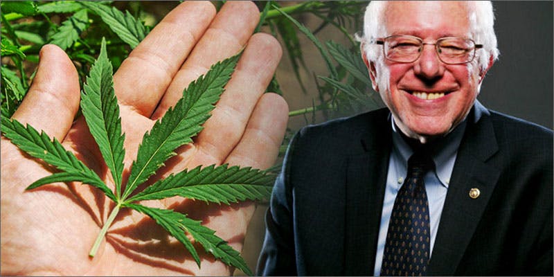 whbuds2 Obama Administration Invite Marijuana Advocates To Bud Summit