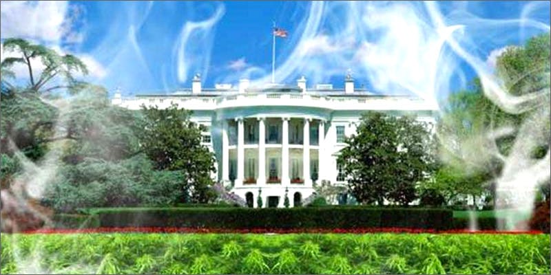 wr4 What Went Down At The Big White House Legalization Rally?