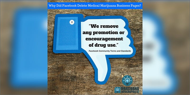 1 4 Understanding Facebook’s Cryptic Restrictions on Cannabis Posts
